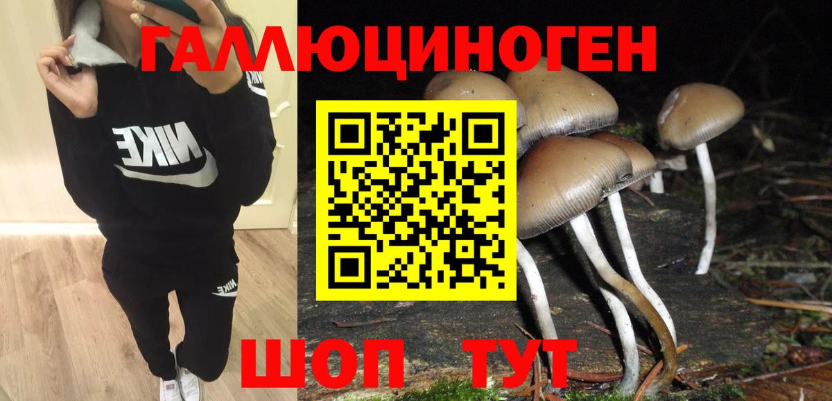 Галлюциногенные грибы Magic Shrooms Нефтекумск